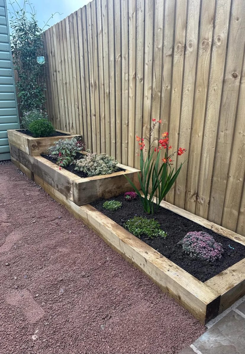 Raised softwood planter